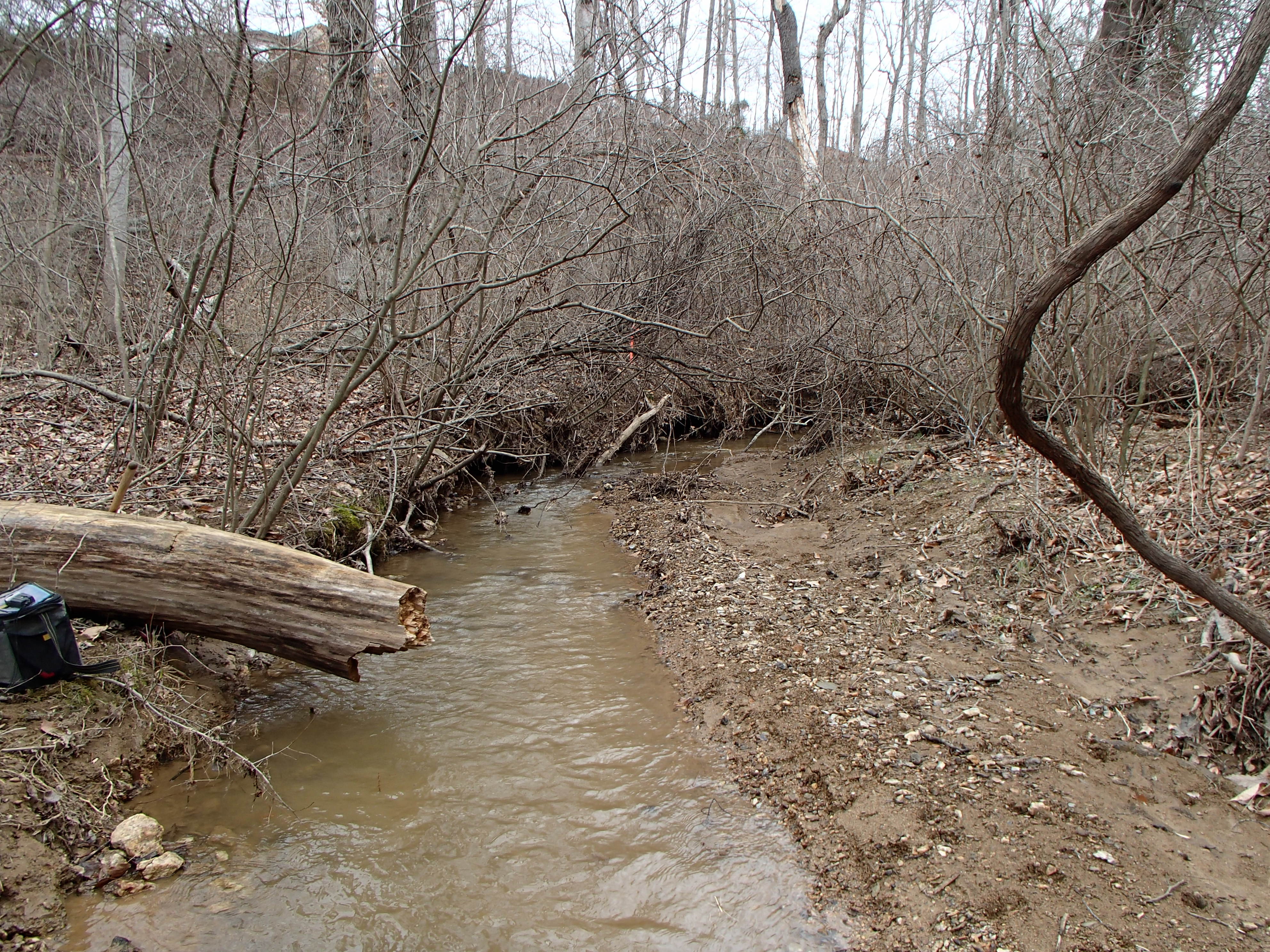 Field photo showing stream conditions at site DOUB-119-R-2016_midpoint upstream